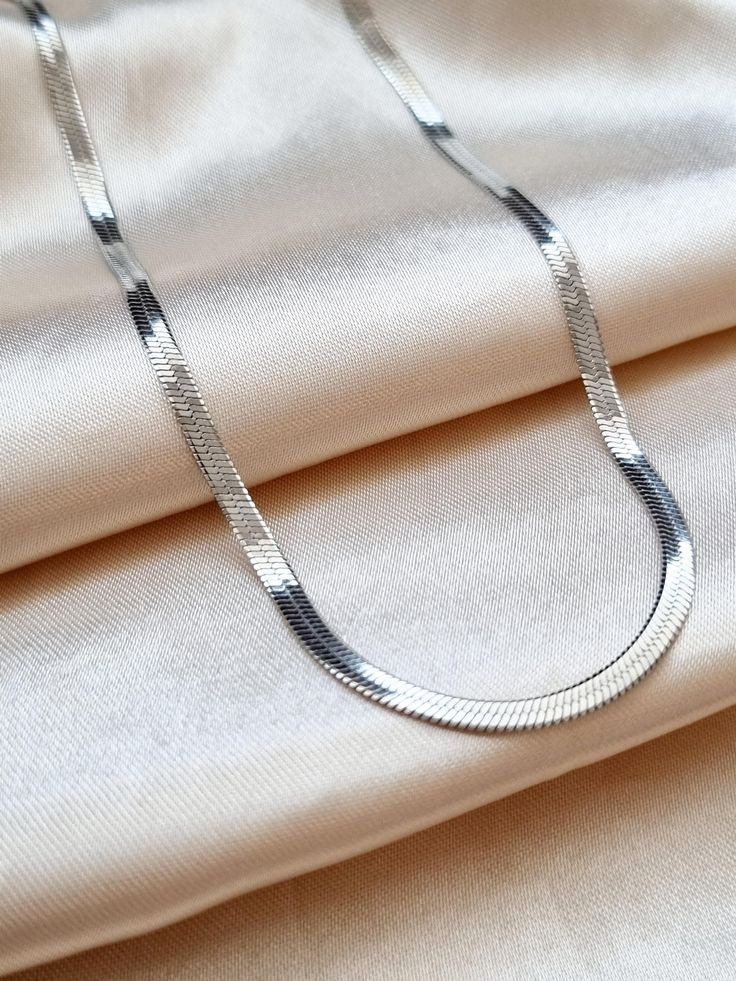 The Silver Snake Chain